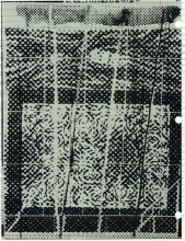 Untitled Laser Print8.5 x 11 inches2016